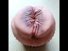 https://image.noelshack.com/fichiers/2016/39/1474992381-anus-cupcake.jpg