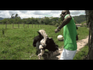 https://image.noelshack.com/fichiers/2016/39/1475274467-ostrich-africa-animated-gif.gif