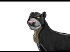https://image.noelshack.com/fichiers/2016/40/1475535651-c-est-qui-le-lion.jpg