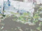 https://image.noelshack.com/fichiers/2016/40/1475679068-40-0ve3orh4.png