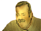 https://image.noelshack.com/fichiers/2016/41/1476057029-1472120011-risitasdore.png
