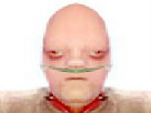 https://image.noelshack.com/fichiers/2016/41/1476384154-1469558269-1469487102-1469487031697-9894.jpg