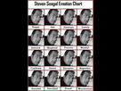 https://image.noelshack.com/fichiers/2016/42/1476961880-steven-segal-emotion-chart.jpg