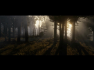 https://image.noelshack.com/fichiers/2016/42/1476978814-red-dead-redemption-2-trailer-1-17.jpg