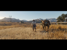 https://image.noelshack.com/fichiers/2016/42/1476979188-red-dead-redemption-2-trailer-1-25.jpg