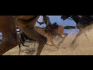 https://image.noelshack.com/fichiers/2016/42/1476980735-red-dead-redemption-2-trailer-1-42.jpg