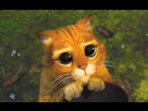 https://image.noelshack.com/fichiers/2016/42/1477077849-le-chat-potte-2-5515807de0efd.jpg