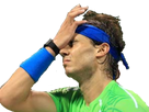 https://image.noelshack.com/minis/2016/42/1477143977-nadal-paf.png