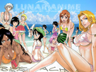 https://image.noelshack.com/fichiers/2016/43/1477260682-bleach-beach.jpg