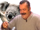 https://image.noelshack.com/fichiers/2016/43/1477289773-risitas-koala2.png