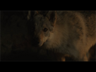 https://image.noelshack.com/fichiers/2016/43/1477327440-michael-bay-youtube-google-chrome.png