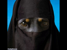 https://image.noelshack.com/fichiers/2016/43/1477341799-dog-in-a-burka-66721.jpg