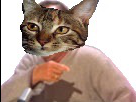 https://image.noelshack.com/fichiers/2016/43/1477413682-risichat.jpg