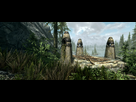 https://image.noelshack.com/fichiers/2016/43/1477767958-skyrimse-2016-10-29-20-54-08-79.png