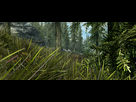https://image.noelshack.com/fichiers/2016/43/1477767958-skyrimse-2016-10-29-20-56-13-37.png