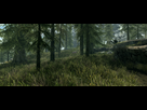 https://image.noelshack.com/fichiers/2016/43/1477767959-skyrimse-2016-10-29-20-52-27-19.png