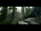 https://image.noelshack.com/fichiers/2016/43/1477767959-skyrimse-2016-10-29-20-55-27-68.png