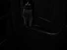 https://image.noelshack.com/fichiers/2016/44/1477989306-aboul-le-whiskas-fdp.jpg