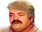 https://image.noelshack.com/fichiers/2016/44/1478004260-risitas-trump.png