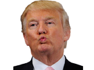 https://image.noelshack.com/fichiers/2016/44/1478035957-trump14.jpg