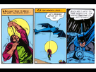 https://image.noelshack.com/fichiers/2016/44/1478046955-25-batman-hanging-nocrop-w529-h373.jpg