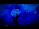 https://image.noelshack.com/fichiers/2016/44/1478168929-mirror-s-edge-catalyst-screenshot-2016-11-01-23-11-43-61.jpg