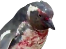 https://image.noelshack.com/fichiers/2016/44/1478338937-rip.png