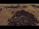 https://image.noelshack.com/fichiers/2016/44/1478358444-warhammer-2016-11-05-15-22-34-63.jpg
