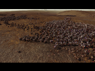 https://image.noelshack.com/fichiers/2016/44/1478376961-warhammer-2016-11-05-20-48-36-32.jpg