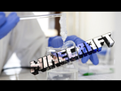 https://image.noelshack.com/fichiers/2016/44/1478383631-minecraft-molcraft-biochimie.jpg