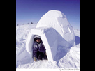 https://image.noelshack.com/fichiers/2016/45/1478540809-a5igloo.jpg
