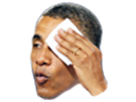 https://image.noelshack.com/fichiers/2016/45/1478648081-obamapls.png
