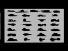 https://image.noelshack.com/fichiers/2016/45/1478864297-capture-d-ecran-2016-11-11-12-31-52.png
