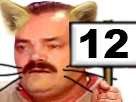 https://image.noelshack.com/fichiers/2016/45/1479016274-risitas-12-cat.png