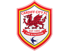 https://www.noelshack.com/2016-46-1479146339-cardiff-city-fc.png