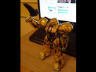 https://image.noelshack.com/fichiers/2016/46/1479335625-sumo-gold-type.jpg