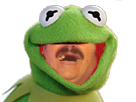 https://image.noelshack.com/fichiers/2016/46/1479505005-risitas-kermit2.png