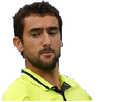 https://image.noelshack.com/minis/2016/46/1479566465-cilic-dedaigneux.png