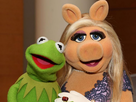 https://image.noelshack.com/fichiers/2016/46/1479654001-le-muppet-show-kermit-la-grenouille-et-peggy-la-cochonne-c-est-fini.jpeg