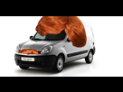 https://image.noelshack.com/fichiers/2016/47/1479724143-kangoo-roux.jpg