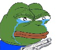 https://image.noelshack.com/fichiers/2016/47/1479862043-pepe3.jpg