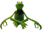 https://image.noelshack.com/fichiers/2016/47/1479931806-kermit-zen.png