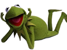 https://image.noelshack.com/fichiers/2016/47/1479932572-kermit-pose.png