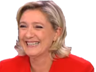 https://image.noelshack.com/fichiers/2016/47/1480038064-marinelepen01v2.png