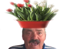 https://www.noelshack.com/2016-47-1480132303-risitas-390.png