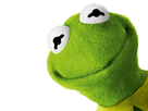 https://image.noelshack.com/fichiers/2016/47/1480180635-kermit.png