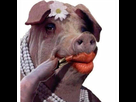https://image.noelshack.com/fichiers/2016/48/1480345891-cvqekw3waaasve8.jpg