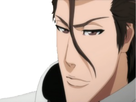 https://image.noelshack.com/fichiers/2016/48/1480365668-aizen.jpg
