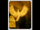 https://image.noelshack.com/fichiers/2016/48/1480606648-feniks-1.png