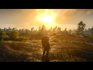 https://image.noelshack.com/fichiers/2016/49/1480974152-the-witcher-3-12-05-2016-22-28-08-06.png